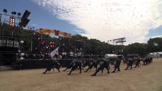 四天王寺大学ＹＯＳＡＫＯＩソーラン部 仏喜踊　こいや祭り２０１５　メイン会場