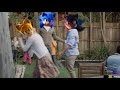 Basically the Sonic 3 trailer-