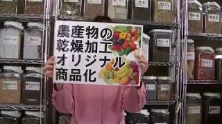 野草・野菜・農産物・樹木・果樹、乾燥加工や健康茶加工、製品化