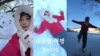 [VLOG] 대관령 여행 | 양떼목장 | 취호가 | 강원도 숙소 | 기차여행