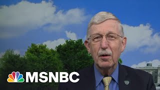 NIH Director: Mandating Covid Vaccine ‘Will Make A Lot Of Sense’ In Many Cases | MTP Daily | MSNBC