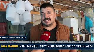 Yeni Mahsul Zeytinler Sofralar' Da Yerini Aldı