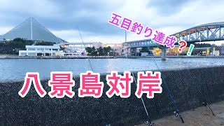 【八景島対岸・福浦岸壁】神奈川県横浜市、真冬の魚釣りでいろいろな釣法を試してみたら・・・想定外の魚に興奮しました