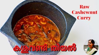 പച്ച കശുവണ്ടി തീയൽ | Raw Cashew nut Curry | Pacha Kasuvandi Theeyal | Andiparippu Curry |Ep:1101