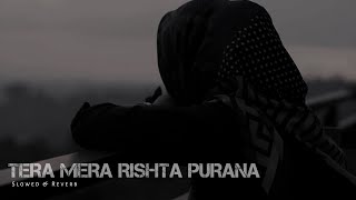 Tera Mera Rishta Purana [ Slowed + Reverb ] Mustafa Zahid | Nainsi