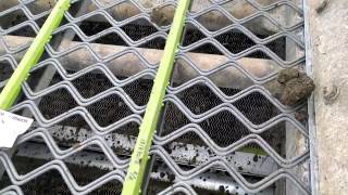 Flex Mat killing topsoil