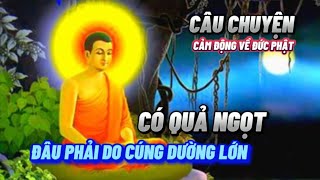 NGHÈO VẬT CHẤT CÁI TÂM THÀNH KÍNH SẼ CÓ QUẢ NGỌT