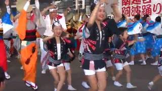 総踊り（いなせ連、丸若連、藍響連、よみうり大花連、きむら連）／プレ南越谷阿波踊り2016