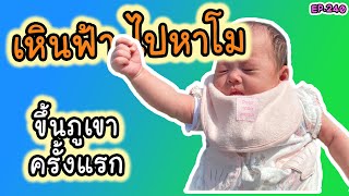 ครอบครัวไทย-ญี่ปุ่น พาทารกน้อยขึ้นดอยครั้งแรก EP. 240