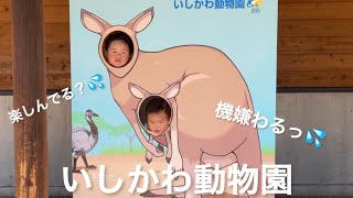 【Vlog 】いしかわ動物園に行ったけど破天荒3歳児連れてはエグかった、、、