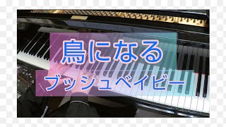 鳥になる  ブッシュベイビーより ピアノソロ