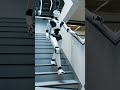 Agility Robotics' Digit: A Glimpse into the Future of Automated Labor with Humanoid Robots