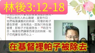 2022.7.12【活潑的生命】/哥林多後書3章12-18節 / 一起讀聖經 / 在基督裡帕子被除去