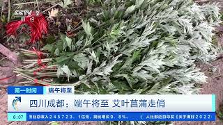 [第一时间]端午将至 四川成都：端午将至 艾叶菖蒲走俏|CCTV财经