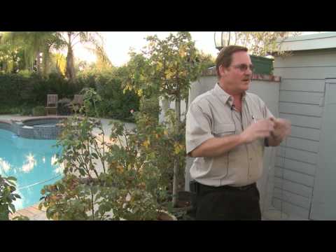 Home & Lawn Pest Control : How to Keep Snakes Away From the House Home & Lawn Pest Control : How to Keep Snakes Away From the House