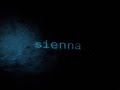 The Marías - Sienna (Visualizer)