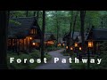 Forest Pathway - Deep Ethereal Ambient Music - Beautiful Relaxation Soundscape With Rain