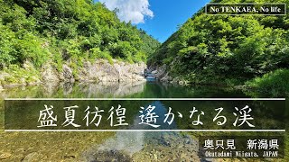 No TENKARA, No life　「遙かなる奥只見」 渓流テンカラ＆ルアー　奥只見源流エリア　2023年8月　ボヤキながら