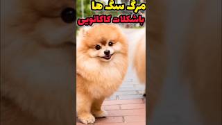 ۵ حقیقت جالب و جذاب که نمیدونستین#short#shorts#tiktok#دانستنی#عجیب