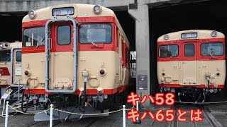 キハ58・キハ65ってどんな車両？