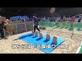 第23回ワンワン運動会 @愛知県尾張旭市森林公園