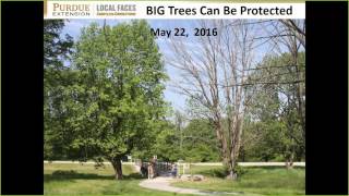 Managing EAB in YOUR Local Situation
