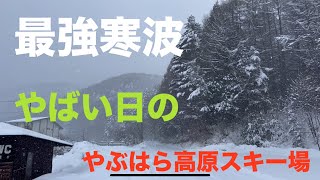 最強寒波到来 パウダーにドブ漬け！やぶはら高原スキー場