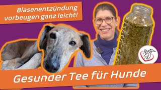 Ein einfacher Tee gegen Blasenweh bei Deinem Hund