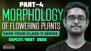 Morphology of Flowering Plants Class 11 - Part 4 | EAPCET 2025 | NEET 2025 | Save Your Class 11