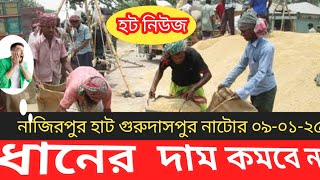 আজকের ধানের বাজার ০৯-০১-২৫ নাজিরপুর গুরুদাসপুর নাটোর #khairulislamtv #ধানপাইকারি |market pric rice