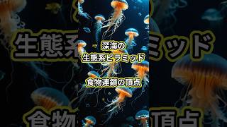 深海の生態系ピラミッド：食物連鎖の頂点 #深海生物 #食物連鎖 #海の生態系