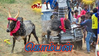 jallikattu குருந்தை கொம்பன் கல்லல் மஞ்சுவிரட்டு...😎😡🔥