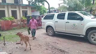 উপজেলা হাসপাতালে আপনার পশুর জন্য  কি কি সুযোগ পেতে পারেন তার একটা ধারণা