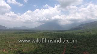 Foothills of the Nilgiris and outskirts of Mettupalayam: aerial journey