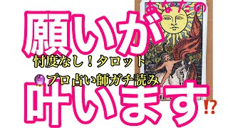 【タロット占い】『今のまま努力を続けていたら「願い」は叶う？』そろそろ「無料占い」付のゲリラライブ予定❣️チャンネル登録通知オンがおすすめ❣️シルバーメンバー限定ライブ1月4日㈫2030