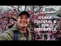 Osaka Cultural & Fun Experience | Sam's Travel Adventures