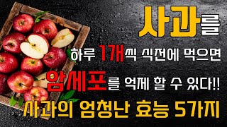 사과의 엄청난 효능 5가지 !! 사과를 하루 1개씩 식전에 먹으면 암세포를 억제 할 수 있습니다 !!