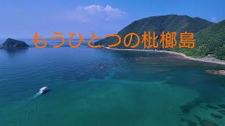 本土最南端に有る　もうひとつの枇榔島