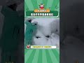 这白茫茫的雪越看越红啊！ 雪 娱乐评论大赏 shorts