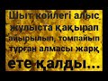 ТҰРАР 8 ші бөлім Қызыл жебе 2 ші кітап Шерхан Мұртаза аудиокітап роман тарих әдебиет