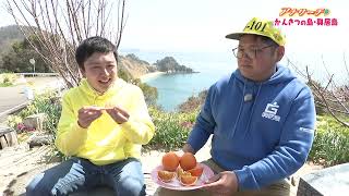 若手生産者がPR！「かんきつの島」興居島