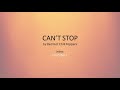 Can't Stop - Red Hot Chili Peppers - Easy acoustic chords and lyrics