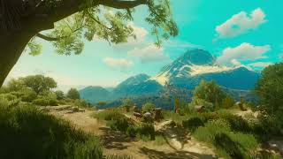 The Witcher 3 - Live Wallpaper #02 - 1080 60FPS