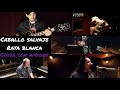 Rata blanca 2024 CABALLO  SALVAJE - Rodri Fiori Drums con amigos: Despa, Folla, Frascino, Leo Arje