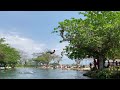 Caymanas River...watch till the end 😮 #CaymanasRiver #RochelleGibson