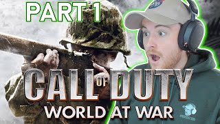 Royal Marine Plays World At War For the FIRST TIME! - Call of Duty