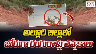 అల్లూరి జిల్లాలో జోరుగా రంగురాళ్లు తవ్వకాలు | Quarrying of colored stones in Alluri district