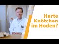 Hodenkrebs: Selbstcheck, Diagnostik, Therapie, Heilungschancen