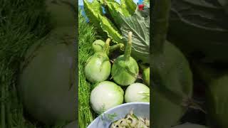 ซุปหน่อไม้ดอง🥬🥒🌶️🥦ผักสดจากสวน.. แซ่บสุดๆ