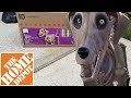 HOME DEPOT 7ft GRAVE & BONES SKELLY’S DOG UNBOXING, SET UP, AND DEMO!